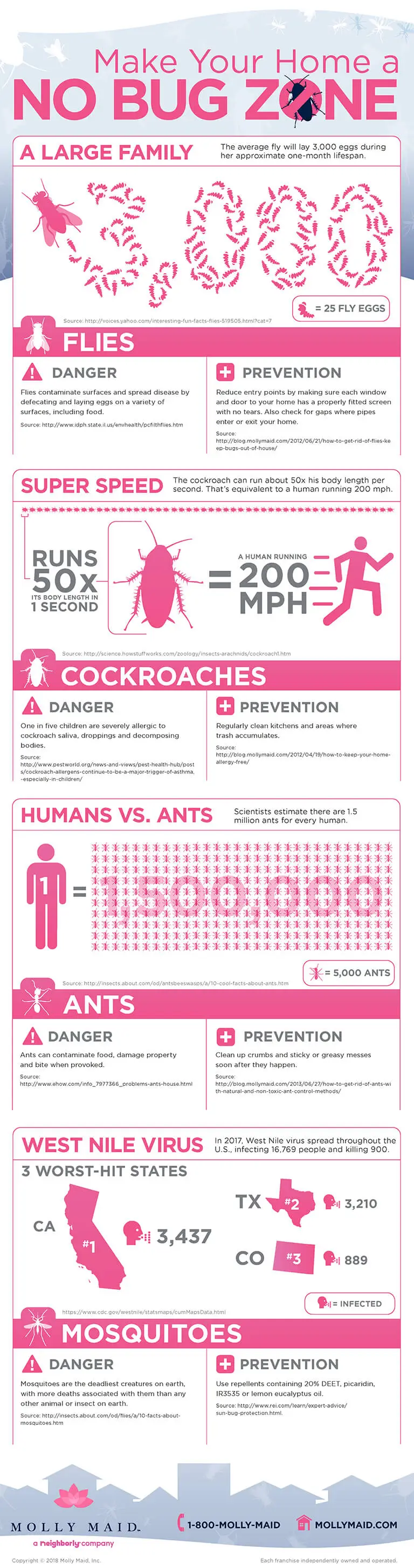 Molly Maid No Bug Zone Infographic.