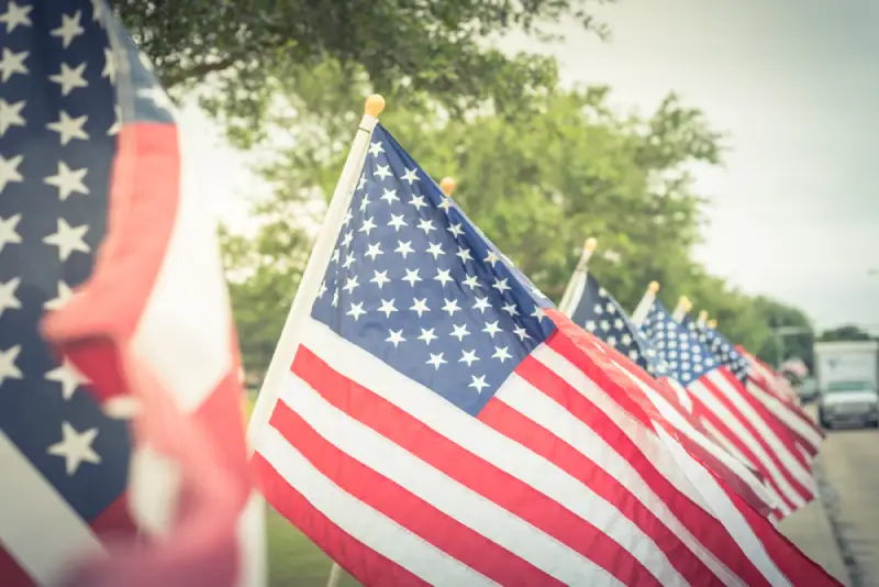 A row of American flags along a tree-lined street.