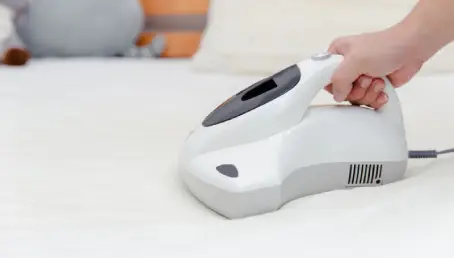 Person cleaning dustmites.