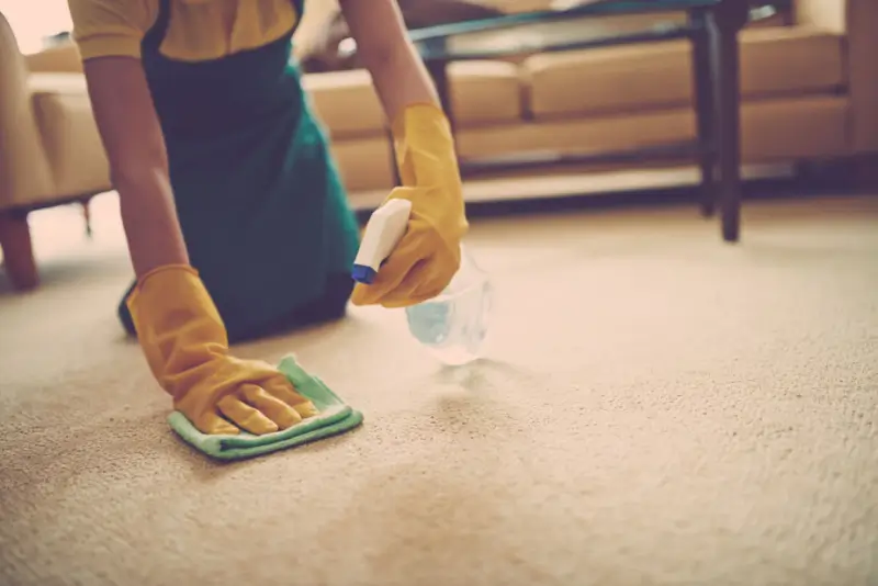 Removing paint from carpet using a spray bottle and cloth.